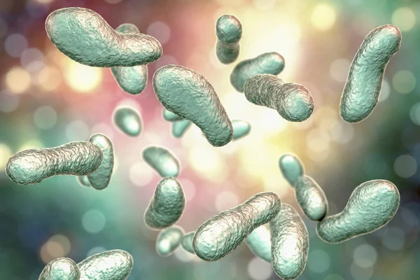 Bacteria Coxiella Burnetii Illustration Gram Negative Bacteria Cause Fever Transmitted — Stock Photo, Image