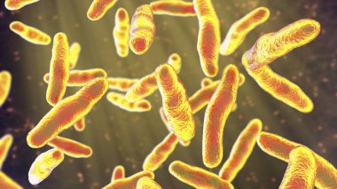 Bilophila wadsworthia bakterisi, 3 boyutlu illüstrasyon. Mide bağırsağının alt kısımlarında bulunan anaerobik safraya dirençli bakteri apandisit ve karaciğer apsesi olan hastalardan izole edilmiş.