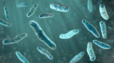 Bilophila wadsworthia bakterisi, 3 boyutlu illüstrasyon. Mide bağırsağının alt kısımlarında bulunan anaerobik safraya dirençli bakteri apandisit ve karaciğer apsesi olan hastalardan izole edilmiş.