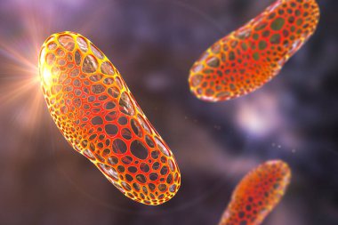 Bakterilerin yok edilmesi, kavramsal 3 boyutlu illüstrasyon. Hücre duvarında koca delikler olan bir bakteri. Antibiyotikler, nanopartiküller ve bakteriler üzerindeki diğer etkenler