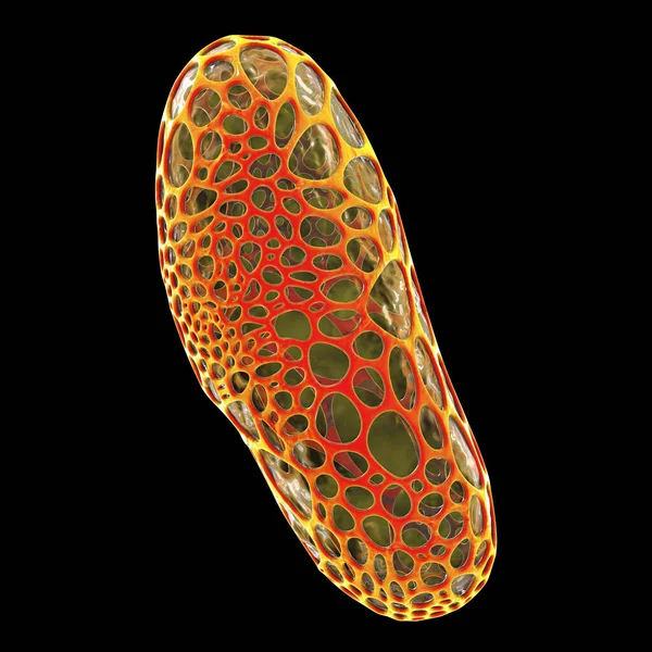 Destruktion Bakterie Konceptuell Illustration Bakterium Med Helheter Cellväggen Antibiotikas Nanopartiklars — Stockfoto