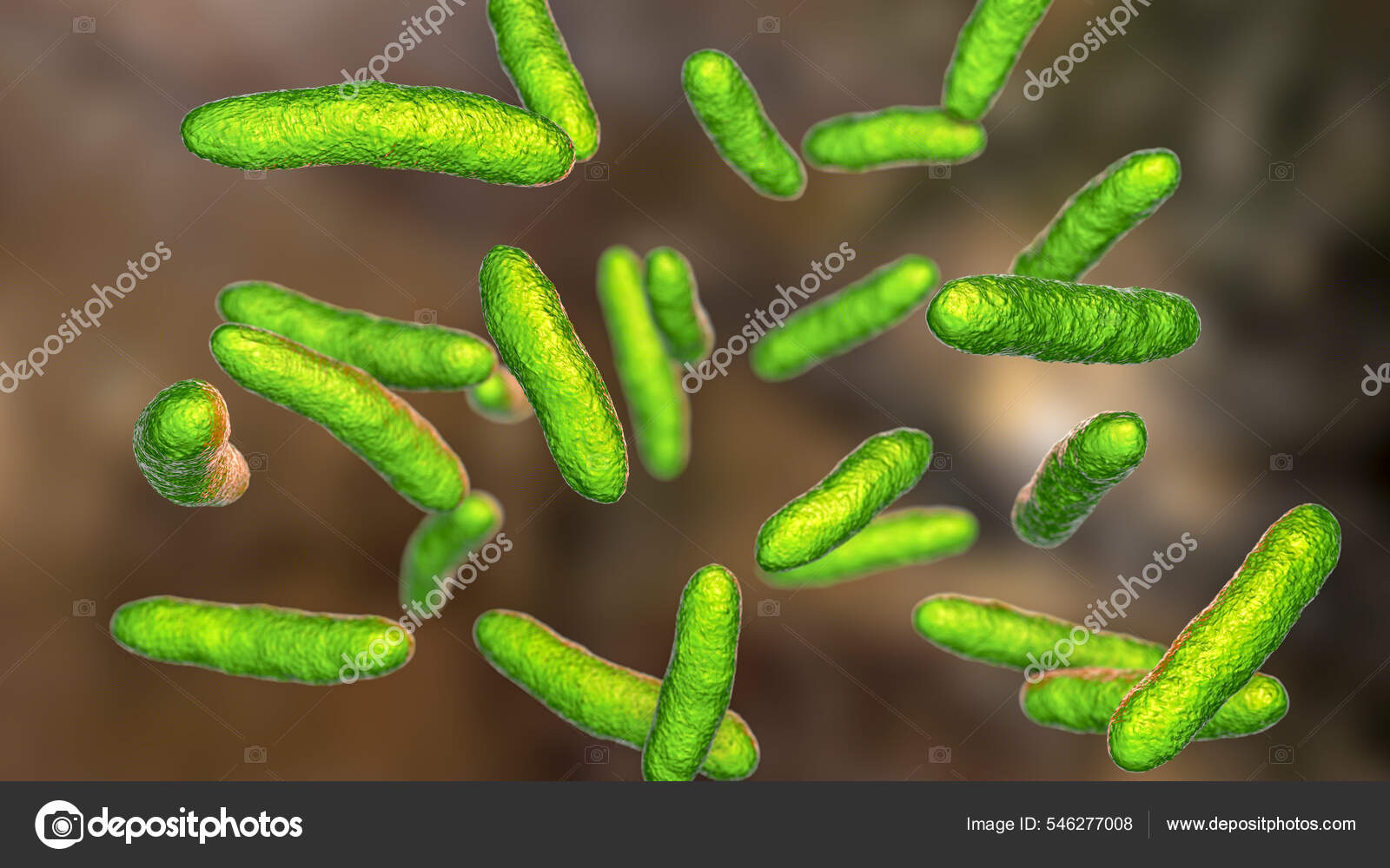Bacteria Sphingomonas Scientific Illustration Gram Negative Rod Shaped