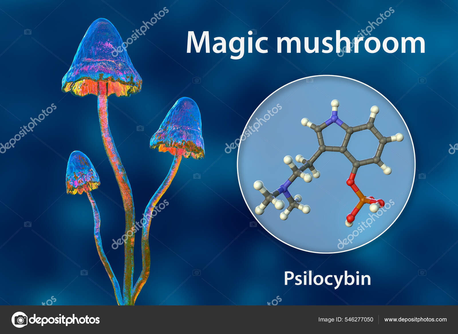Psilocybin Mushrooms Illustration Commonly Known Magic Mushrooms Group