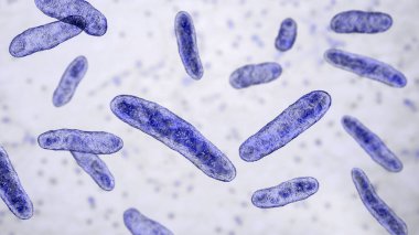 Bakteri Sphingomonas, bilimsel 3 boyutlu illüstrasyon. Gram-negatif çubuk şekilli bakteri doğada yaygın olarak dağıtılır ve ayrıca peritonit, septisemi, menenjit ve diğer hastalarda izole edilmiştir.