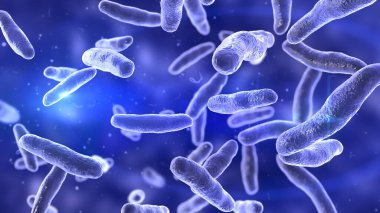 Bilophila wadsworthia bakterisi, 3 boyutlu illüstrasyon. Mide bağırsağının alt kısımlarında bulunan anaerobik safraya dirençli bakteri apandisit ve karaciğer apsesi olan hastalardan izole edilmiş.