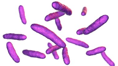 Bacteria Sphingomonas, scientific 3D illustration. Gram-negative rod-shaped bacterium widely distributed in nature, and also was isolated in patients with peritonitis, septicemia, meningitis and other clipart