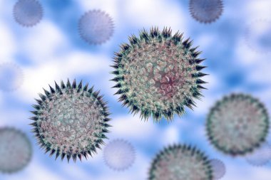 Polen tanecikleri, 3 boyutlu çizimler. Bunlar saman nezlesi ve alerjik romatizmalara neden olan faktörler.