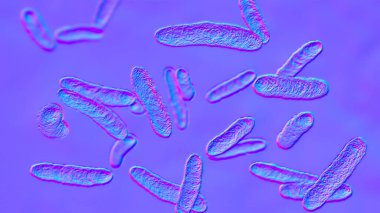 Bakteri Sphingomonas, bilimsel 3 boyutlu illüstrasyon. Gram-negatif çubuk şekilli bakteri doğada yaygın olarak dağıtılır ve ayrıca peritonit, septisemi, menenjit ve diğer hastalarda izole edilmiştir.