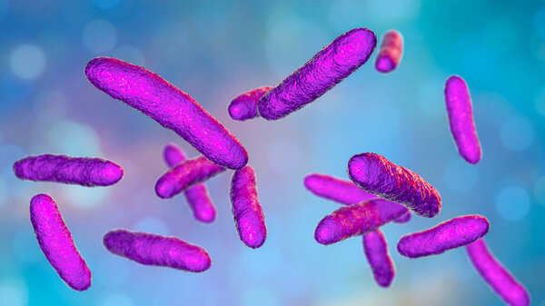 Bacteria Sphingomonas, scientific 3D illustration. Gram-negative rod-shaped bacterium widely distributed in nature, and also was isolated in patients with peritonitis, septicemia, meningitis and other