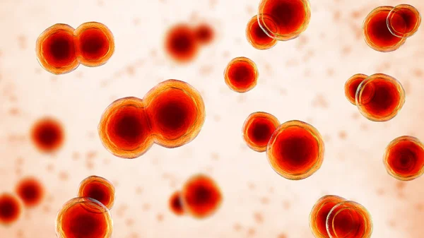Blastomyces Dermatitidis Fungos Agente Causador Doença Blastomicose Que Afeta Pulmões — Fotografia de Stock