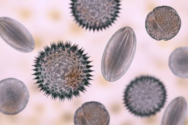 Pollen Grains Illustration Factors Causing Hay Fever Allergic Rhinitis — Stock Photo, Image