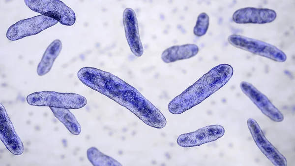 Baktériumok Gömbök Tudományos Illusztráció Gram Negatív Rúd Alakú Baktérium Széles — Stock Fotó