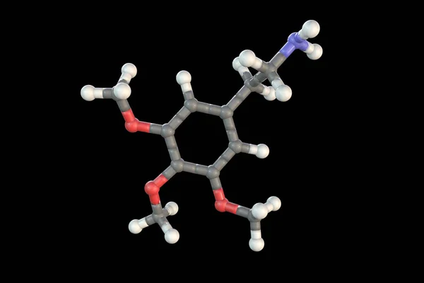 Mescaline Μόριο Ένα Φυσικό Παραισθησιογόνο Ουσία Που Υπάρχει Στη Σάρκα — Φωτογραφία Αρχείου