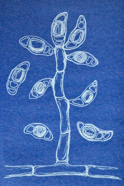 Fungo Microscópico Molde Curvularia Ilustração Desenhada Mão Curvularia Causa Ceratite — Fotografia de Stock