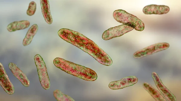 Bakterier Sphingomonas Vetenskaplig Illustration Gram Negativ Stavformad Bakterie Med Stor — Stockfoto