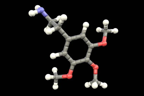 メスカリン分子 いくつかのサボテンの肉に存在する天然幻覚性物質 3Dイラスト — ストック写真