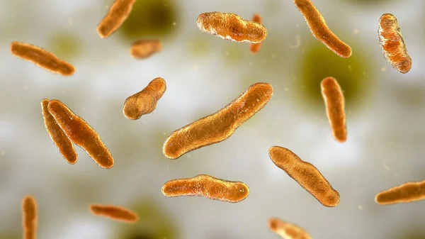 Bactéries Bilophila Wadsworthia Illustration Une Bactérie Résistante Bile Anaérobie Trouvée — Photo