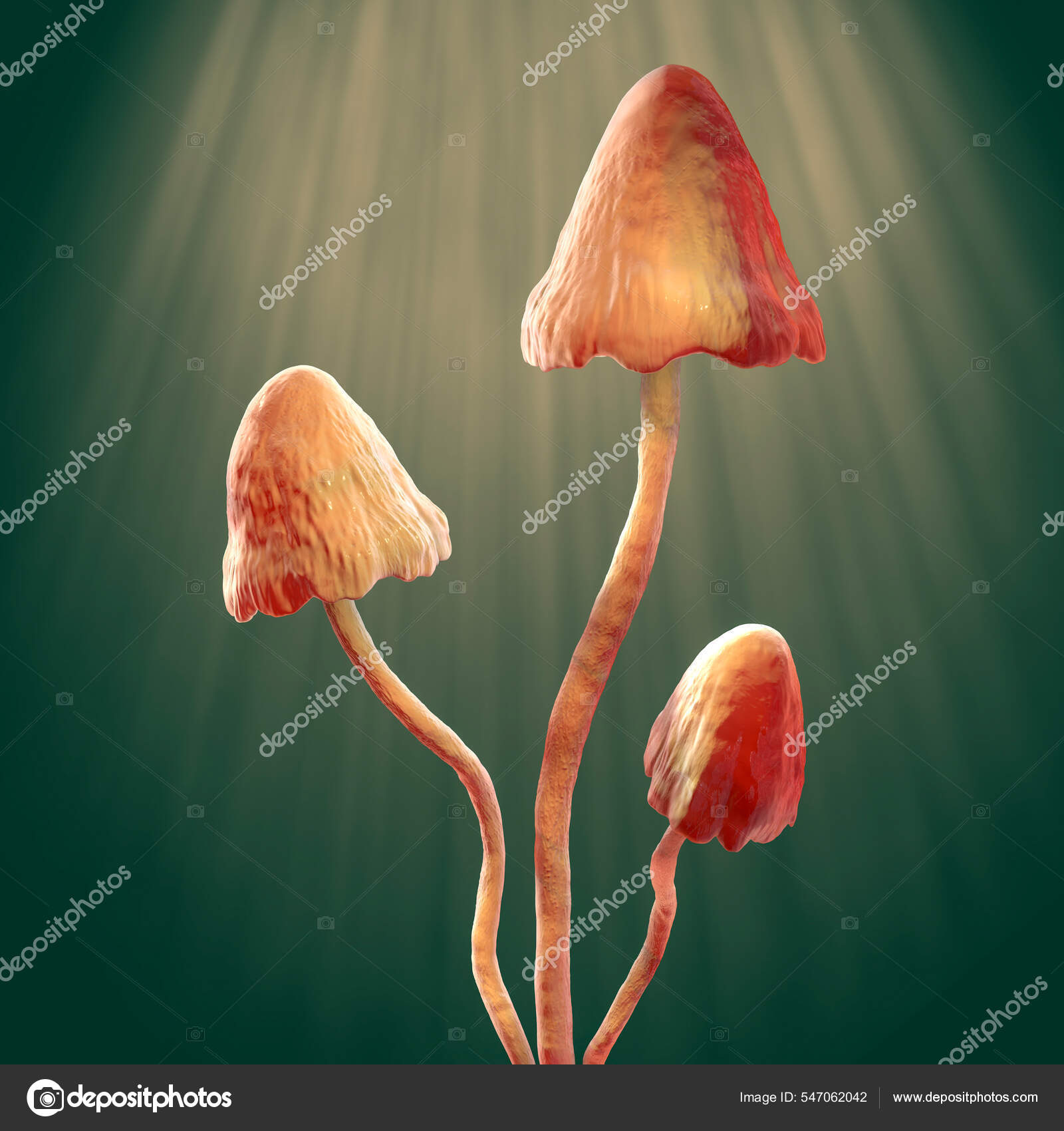 Фотографии грибов Камчатки