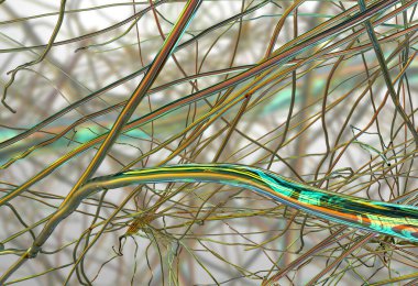 Nanofiberler, 3 boyutlu çizimler. Biyomedikal uygulamalarda, biyomedikal uygulamalarda, doku mühendisliğinde, ilaç dağıtımında ve diğer alanlarda yüksek potansiyele sahip farklı polimerlerden üretilen yeni bir malzeme sınıfı.