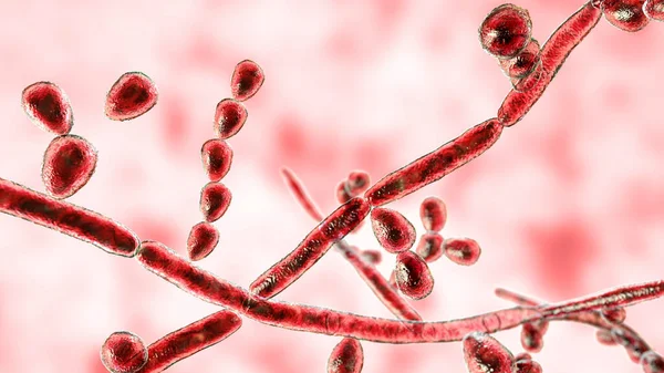 Ayollar qamoqxonasida yashirin kamerali jinsiy aloqa