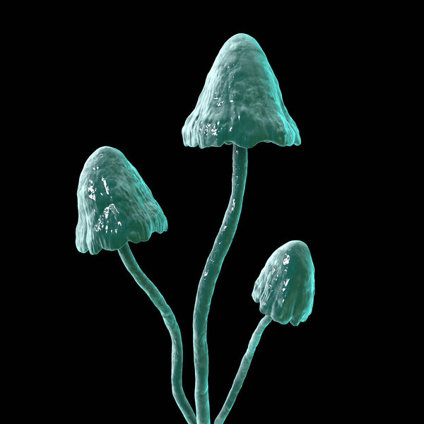 Грибы псилоцибина, 3D иллюстрация. Обычно известные как волшебные грибы, группа грибов, которые содержат псилоцибин, который превращается в псилоцин при проглатывании и вызывает психоделические эффекты.