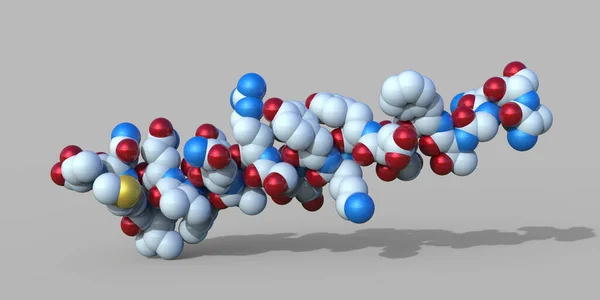 Молекула Глюкагона Иллюстрация Глюкагон Пептидный Гормон Вырабатываемый Альфа Клетками Поджелудочной — стоковое фото