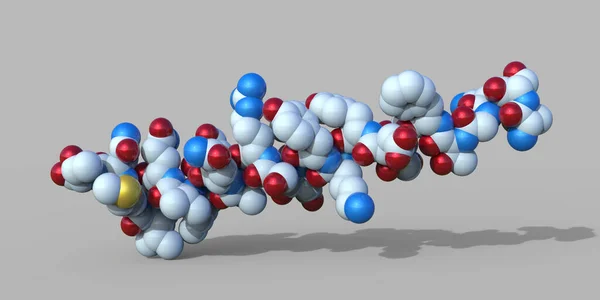 Glucagonmolecuul Illustratie Glucagon Een Peptidehormoon Geproduceerd Door Alfa Cellen Van — Stockfoto