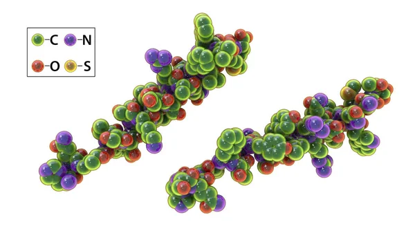 グルカゴン分子 3Dイラスト グルカゴン Glucagon 膵臓の 細胞によって産生されるペプチドホルモンで 血流中のグルコース濃度を上昇させる — ストック写真