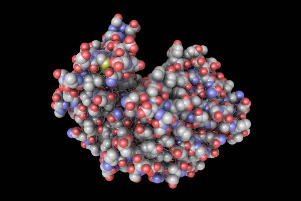 胃蛋白酶的分子 3D图解 — 图库照片