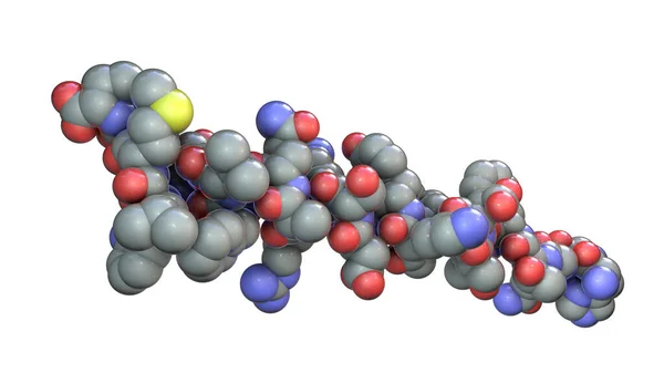 Molécule Glucagon Illustration Glucagon Est Une Hormone Peptidique Produite Par — Photo