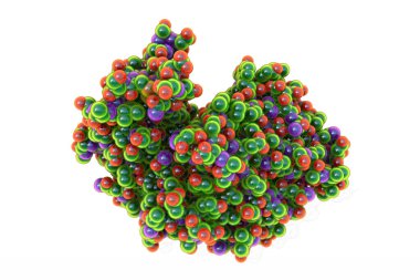 Pepsin mide enzimi molekülü, 3 boyutlu illüstrasyon