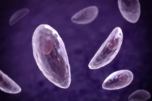 Parasitische Protozožn Toxoplasma Gondii Veroorzaker Van Toxoplasmose Tachyzoïetstadium Illustratie — Stockfoto