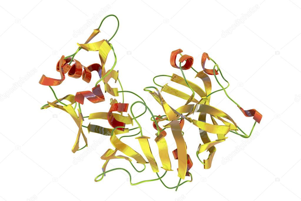 Molecule of pepsin stomach enzyme, 3D illustration