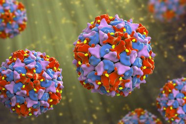 Poliovirüs, Picornaviridae familyasından çocuk felci hastalığına neden olan bir RNA virüsü, 3 boyutlu illüstrasyon