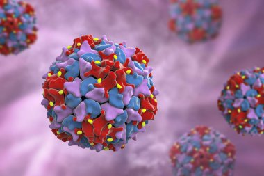 Poliovirüs, Picornaviridae familyasından çocuk felci hastalığına neden olan bir RNA virüsü, 3 boyutlu illüstrasyon