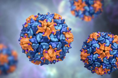 Poliovirüs, Picornaviridae familyasından çocuk felci hastalığına neden olan bir RNA virüsü, 3 boyutlu illüstrasyon