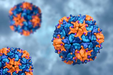 Poliovirüs, Picornaviridae familyasından çocuk felci hastalığına neden olan bir RNA virüsü, 3 boyutlu illüstrasyon