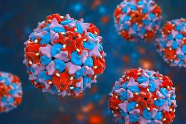 Poliovirüs, Picornaviridae familyasından çocuk felci hastalığına neden olan bir RNA virüsü, 3 boyutlu illüstrasyon