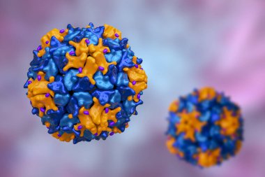 Poliovirüs, Picornaviridae familyasından çocuk felci hastalığına neden olan bir RNA virüsü, 3 boyutlu illüstrasyon