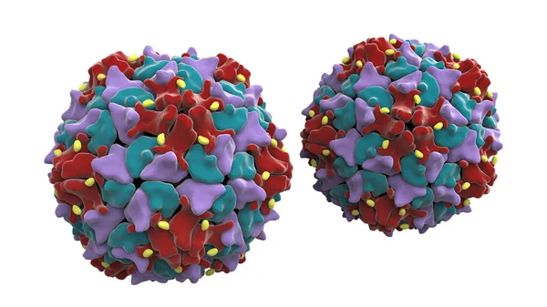 ポリオの原因となるPicornaviridaeファミリーのRnaウイルスであるポリオウイルス 3Dイラスト — ストック写真