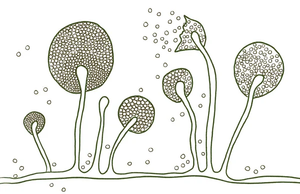 Struktur Von Schleimpilz Schwarzpilz Gelbpilz Abbildung Opportunistische Pilze Die Schleimhaut — Stockfoto