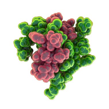 İnsan insülin hormonu molekülü, uzay dolu model, 3 boyutlu illüstrasyon. Şeker hastalığında uyuşturucu