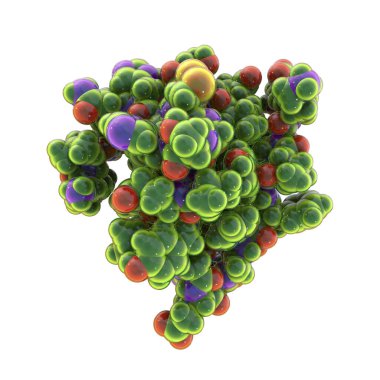 İnsan insülin hormonu molekülü, uzay dolu model, 3 boyutlu illüstrasyon. Şeker hastalığında uyuşturucu