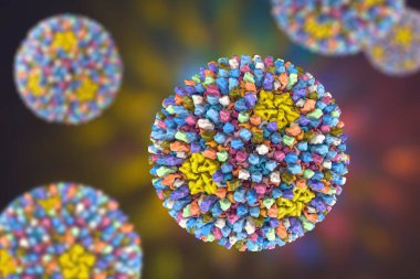 Reovirüsler, gastrointestinal ve solunum sistemlerinde enfeksiyona neden olan virüsler, 3 boyutlu illüstrasyon