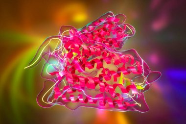 Rodopsin molekülü, 3 boyutlu illüstrasyon. Rod fotoreseptör hücrelerinde bulunan retina pigmenti görme duyusuna katılır.
