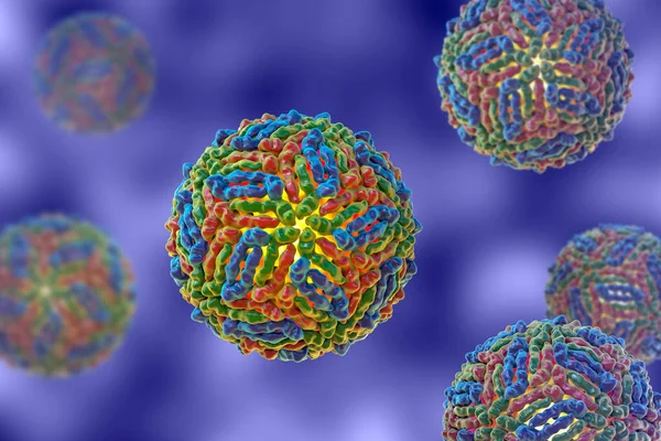 Virus Del Nilo Occidental Wnv Ilustración Virus Que Transmite Por — Foto de Stock