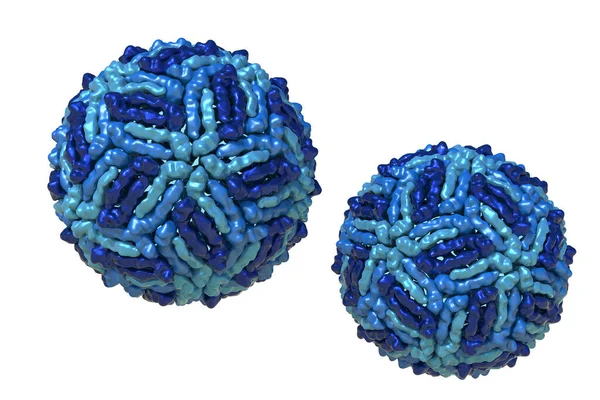 西ナイルウイルスWnv 3Dイラスト 蚊に感染して西ナイル熱を引き起こすウイルス — ストック写真