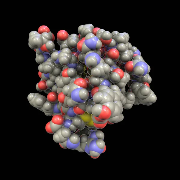 Human insulin hormone molecule, 3D illustration. Drug in diabetes treament