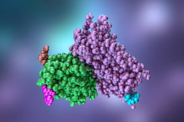 Rodopsin Molekülü Boyutlu Illüstrasyon Rod Fotoreseptör Hücrelerinde Bulunan Retina Pigmenti — Stok fotoğraf
