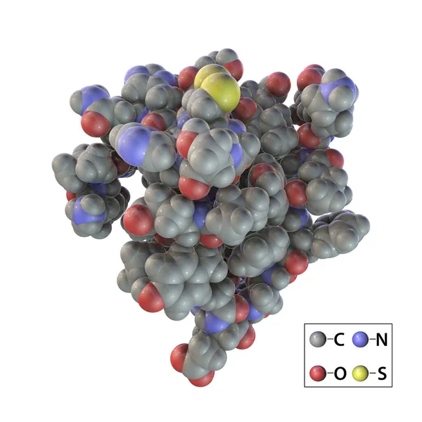 Humán Inzulin Hormon Molekula Űrben Töltött Modell Illusztráció Kábítószer Cukorbetegség — Stock Fotó
